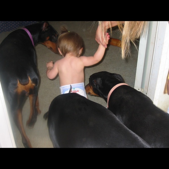 Meet your Posher, Judy - Picture 1 of 1